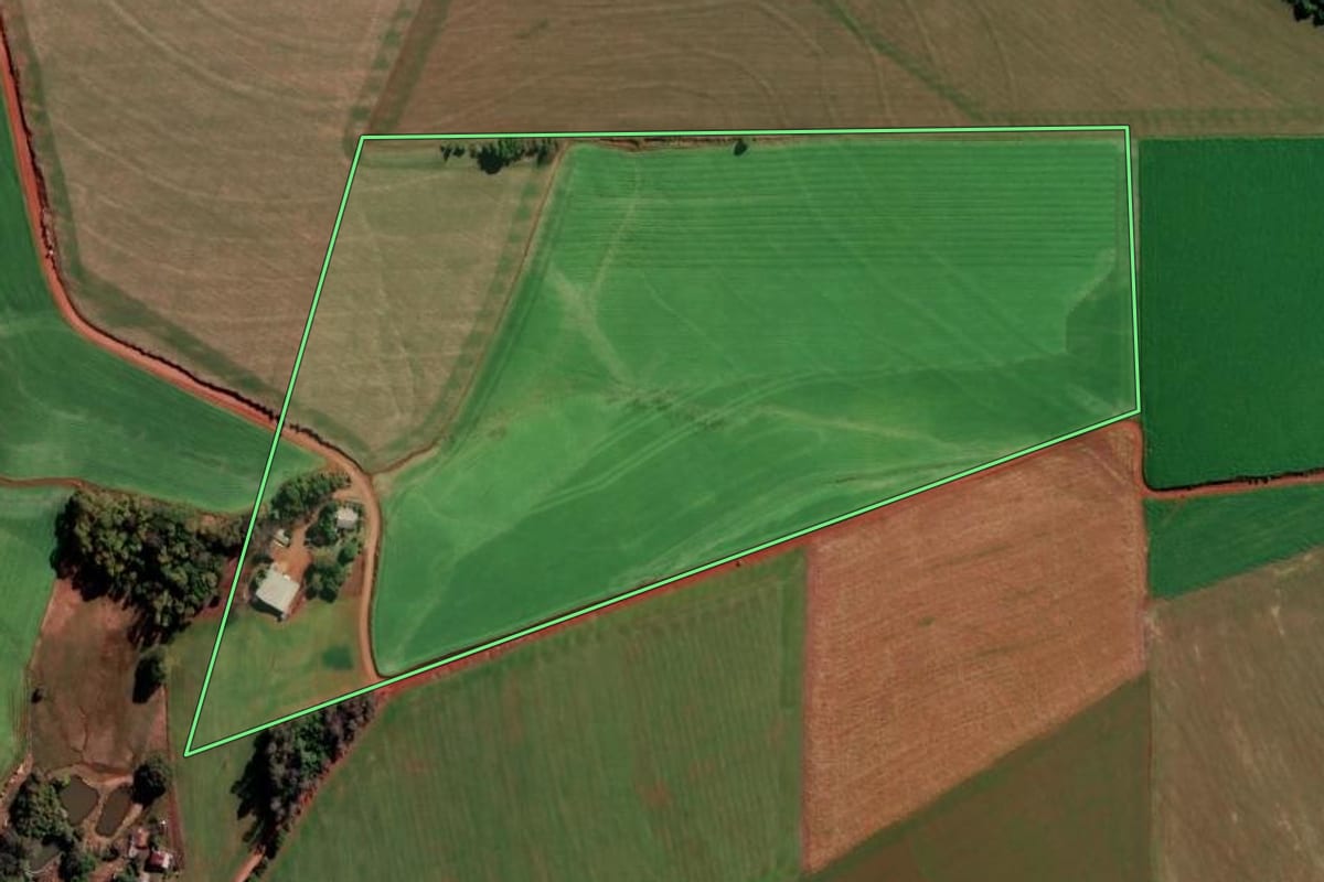 Imagem de satélite do imóvel rural em São Martinho (RS), com o contorno declarado no CAR desenhado por cima.