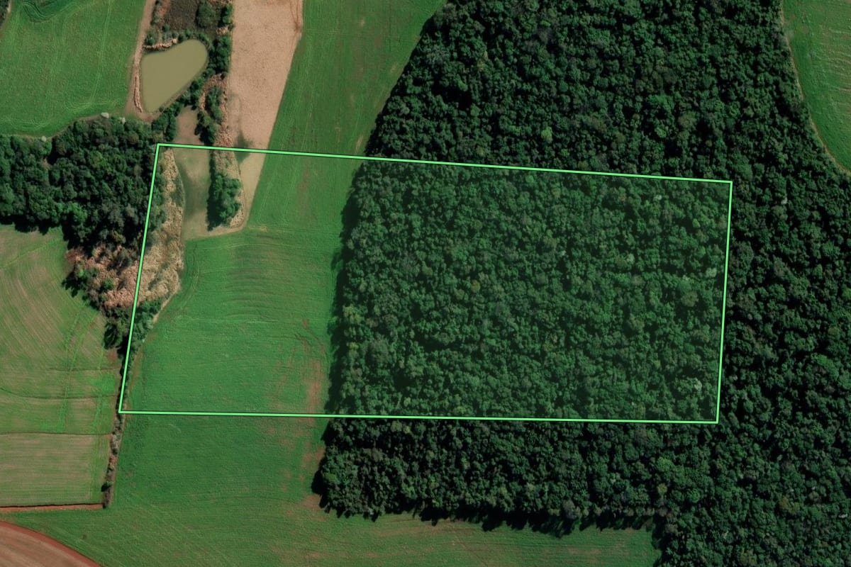 Imagem de satélite do imóvel rural em São Martinho (RS), com o contorno declarado no CAR desenhado por cima.