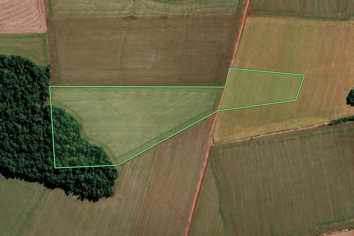 Imagem de satélite do imóvel rural em São Martinho (RS), com o contorno declarado no CAR desenhado por cima.