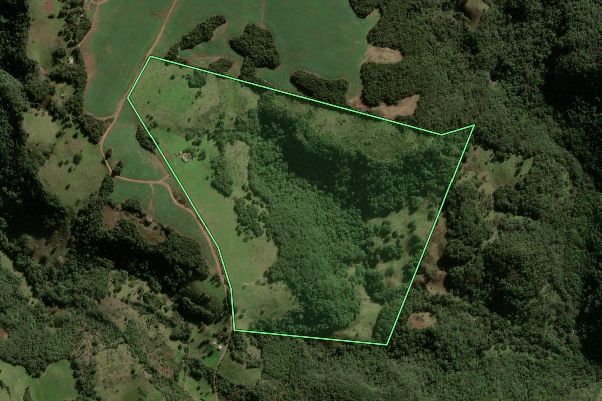 Imagem de satélite do imóvel rural em São Martinho da Serra (RS), com o contorno declarado no CAR desenhado por cima.