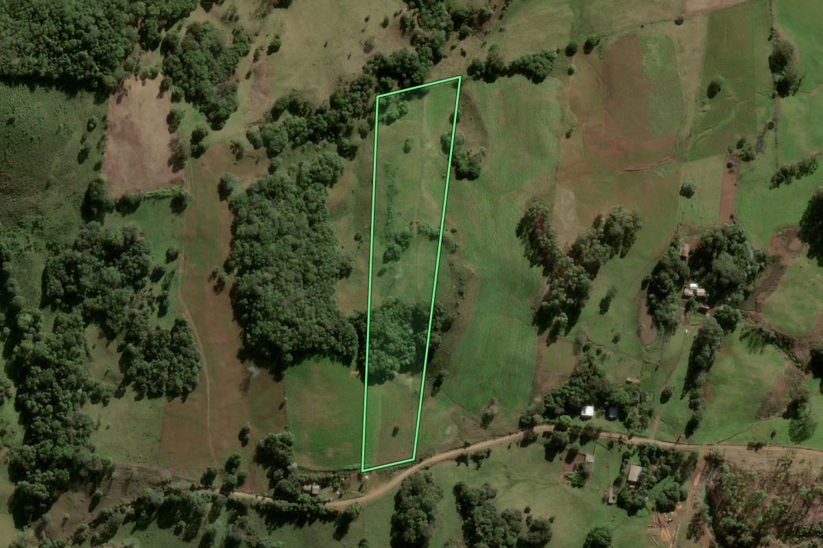 Imagem de satélite do imóvel rural em São Martinho da Serra (RS), com o contorno declarado no CAR desenhado por cima.