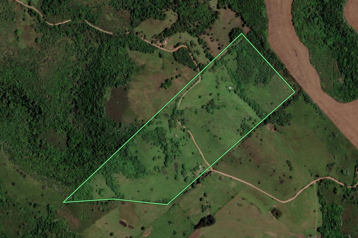 Imagem de satélite do imóvel rural em São Martinho da Serra (RS), com o contorno declarado no CAR desenhado por cima.