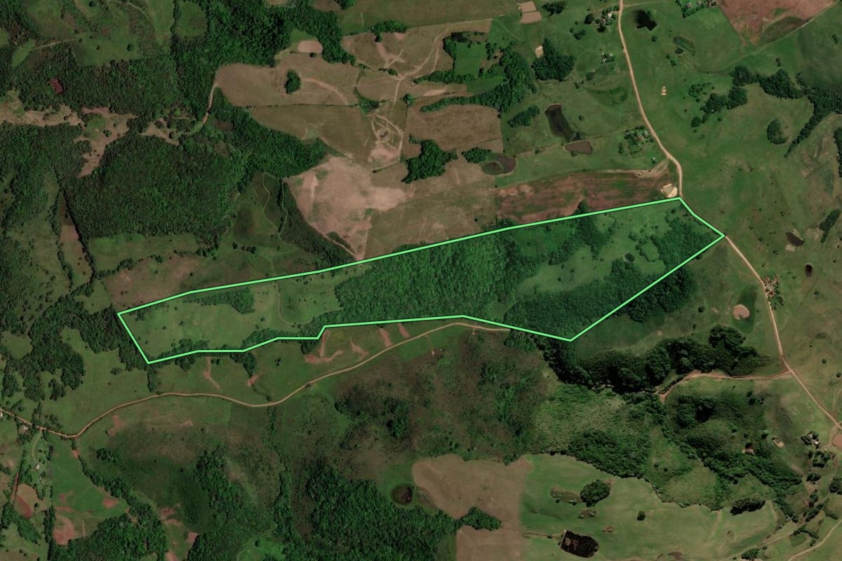Imagem de satélite do imóvel rural em São Martinho da Serra (RS), com o contorno declarado no CAR desenhado por cima.