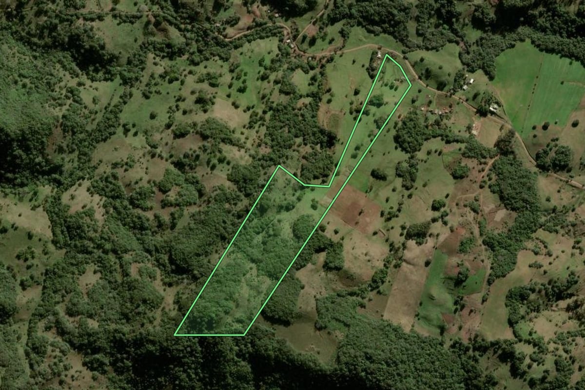 Imagem de satélite do imóvel rural em São Martinho da Serra (RS), com o contorno declarado no CAR desenhado por cima.