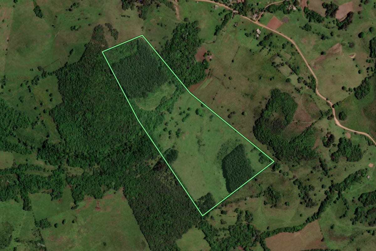 Imagem de satélite do imóvel rural em São Martinho da Serra (RS), com o contorno declarado no CAR desenhado por cima.