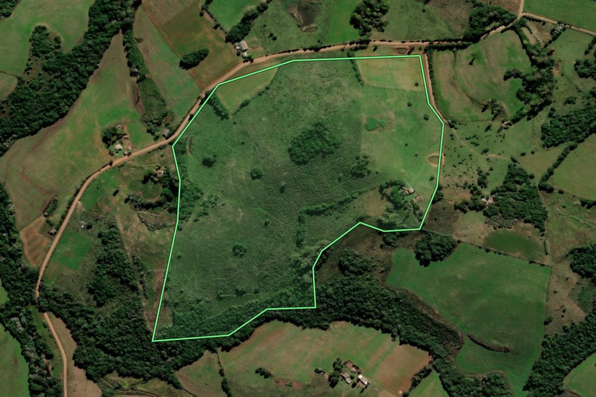 Imagem de satélite do imóvel rural em São Martinho da Serra (RS), com o contorno declarado no CAR desenhado por cima.