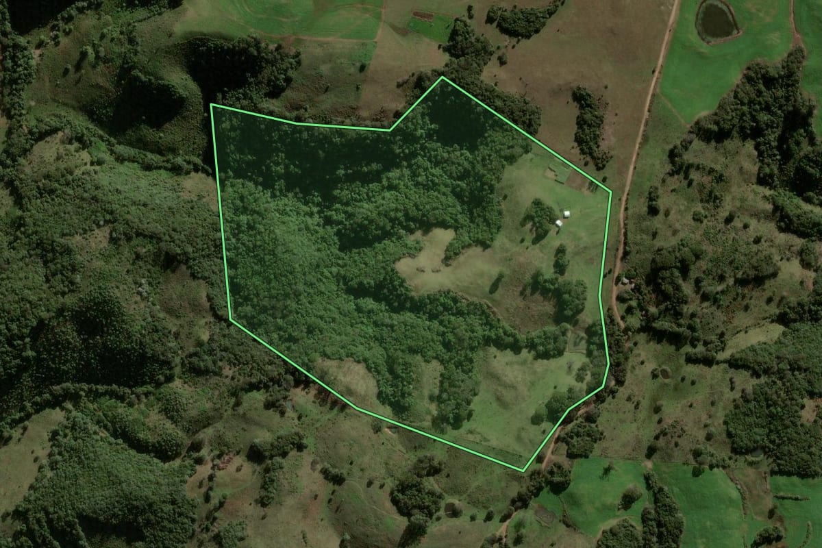 Imagem de satélite do imóvel rural em São Martinho da Serra (RS), com o contorno declarado no CAR desenhado por cima.