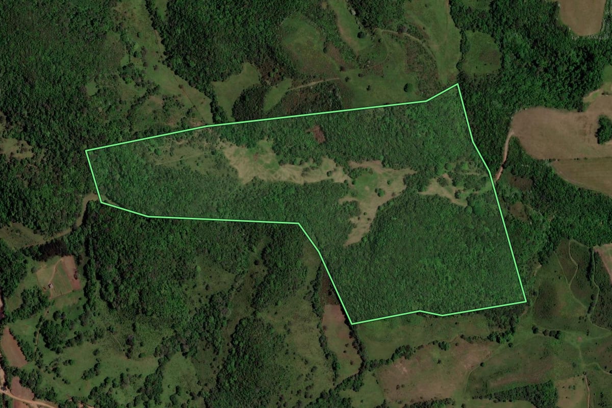 Imagem de satélite do imóvel rural em São Martinho da Serra (RS), com o contorno declarado no CAR desenhado por cima.