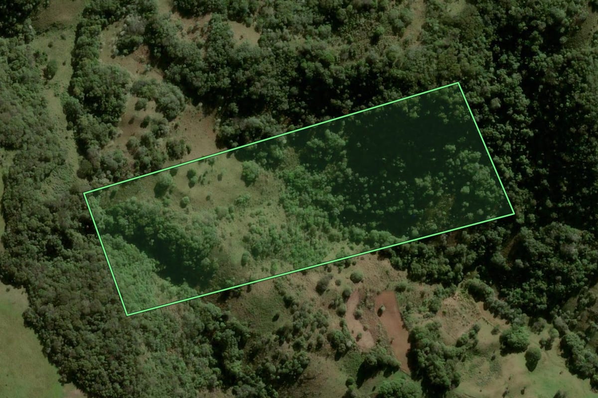 Imagem de satélite do imóvel rural em São Martinho da Serra (RS), com o contorno declarado no CAR desenhado por cima.