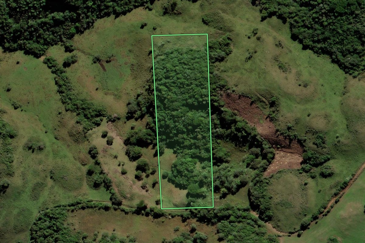 Imagem de satélite do imóvel rural em São Martinho da Serra (RS), com o contorno declarado no CAR desenhado por cima.
