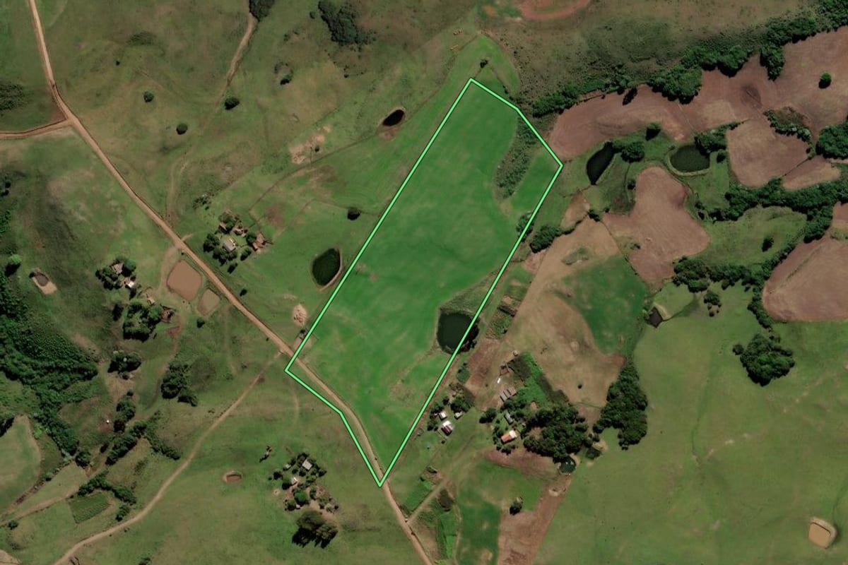 Imagem de satélite do imóvel rural em São Martinho da Serra (RS), com o contorno declarado no CAR desenhado por cima.