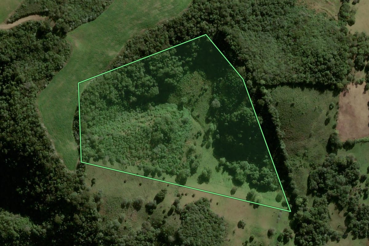 Imagem de satélite do imóvel rural em São Martinho da Serra (RS), com o contorno declarado no CAR desenhado por cima.