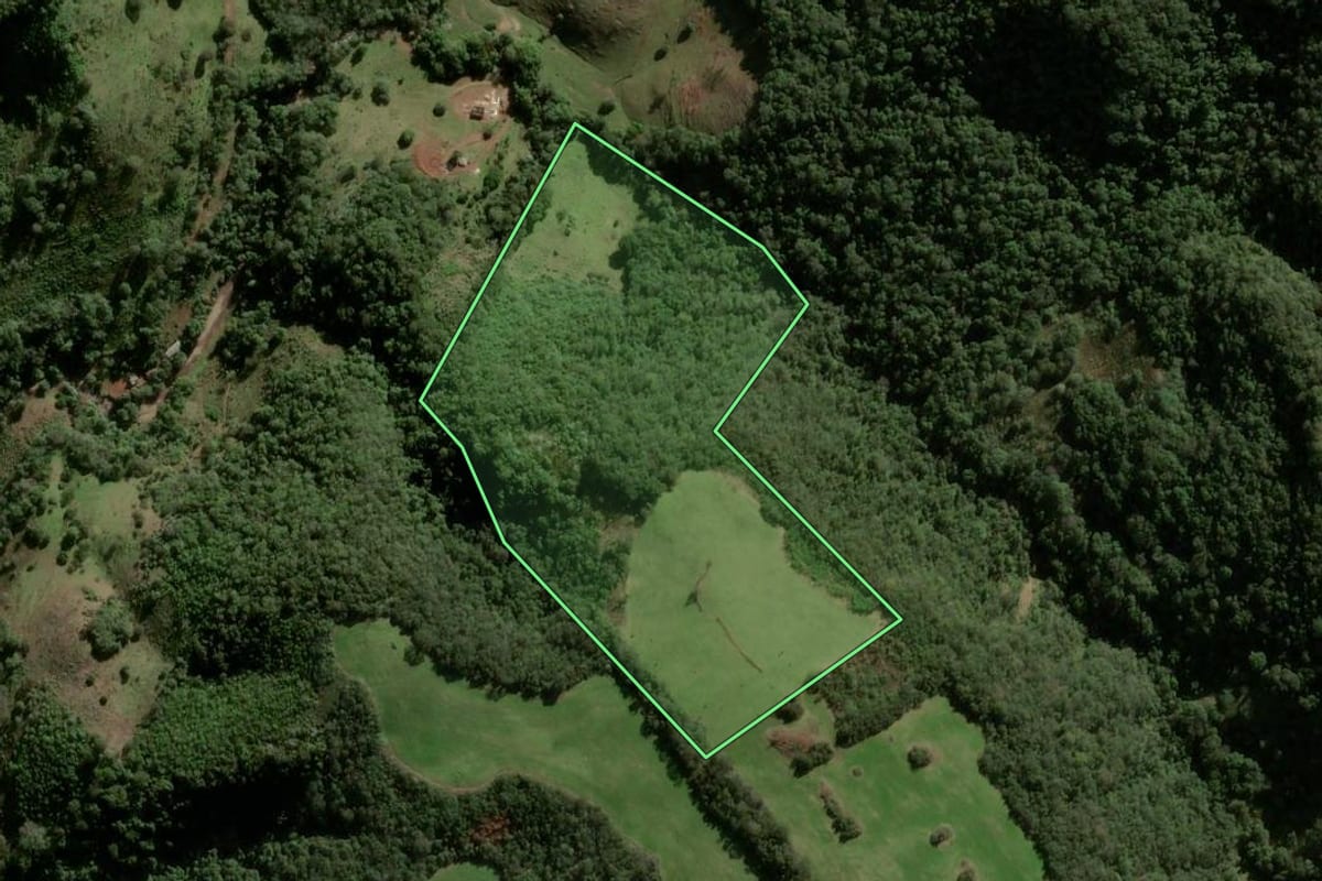 Imagem de satélite do imóvel rural em São Martinho da Serra (RS), com o contorno declarado no CAR desenhado por cima.