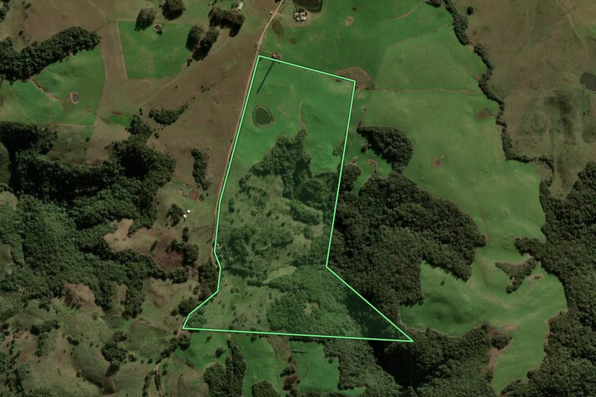 Imagem de satélite do imóvel rural em São Martinho da Serra (RS), com o contorno declarado no CAR desenhado por cima.