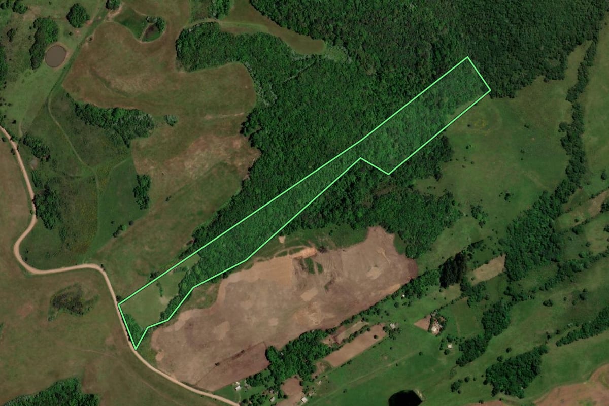 Imagem de satélite do imóvel rural em São Martinho da Serra (RS), com o contorno declarado no CAR desenhado por cima.