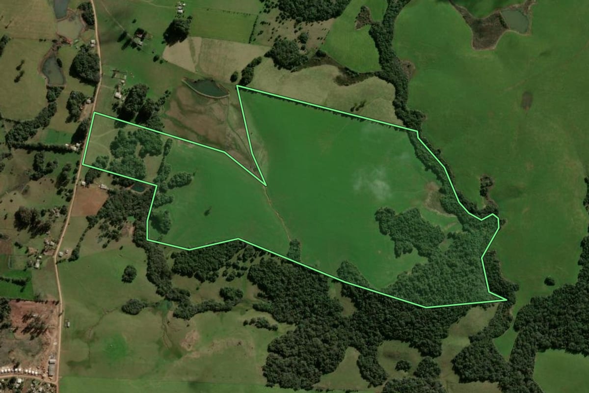 Imagem de satélite do imóvel rural em São Martinho da Serra (RS), com o contorno declarado no CAR desenhado por cima.