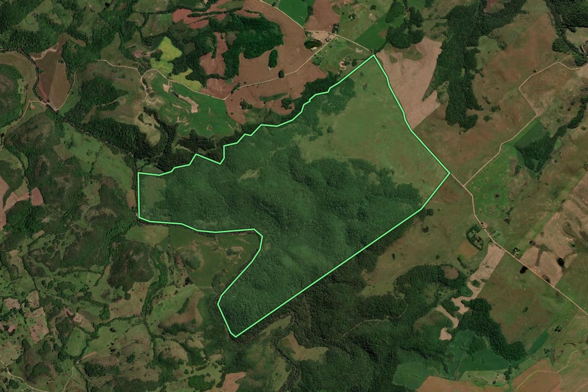 Imagem de satélite do imóvel rural em São Martinho da Serra (RS), com o contorno declarado no CAR desenhado por cima.