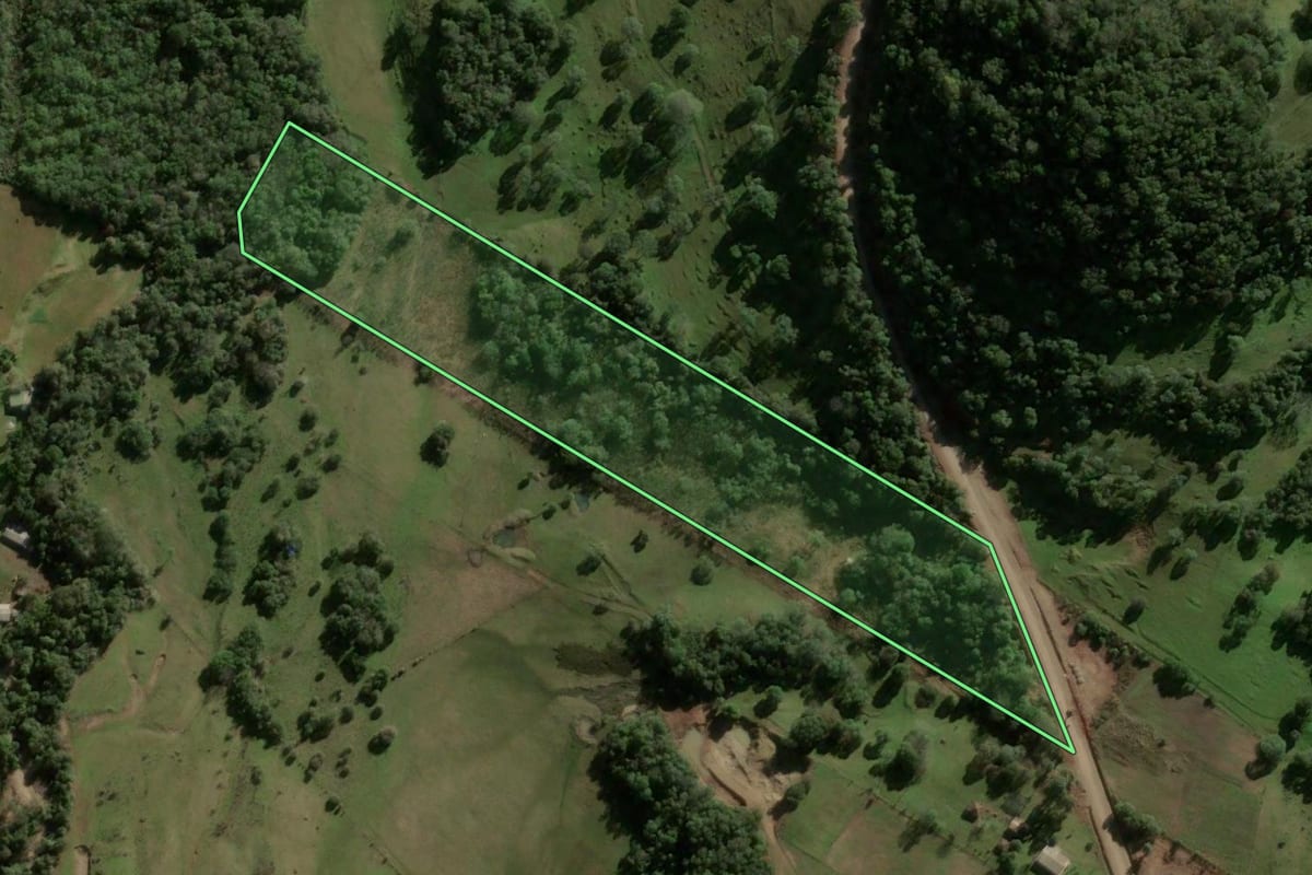 Imagem de satélite do imóvel rural em São Martinho da Serra (RS), com o contorno declarado no CAR desenhado por cima.
