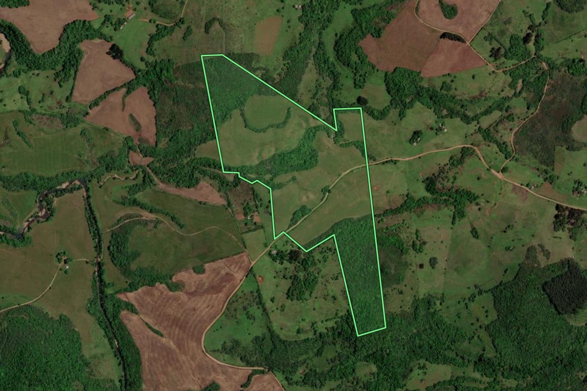 Imagem de satélite do imóvel rural em São Martinho da Serra (RS), com o contorno declarado no CAR desenhado por cima.