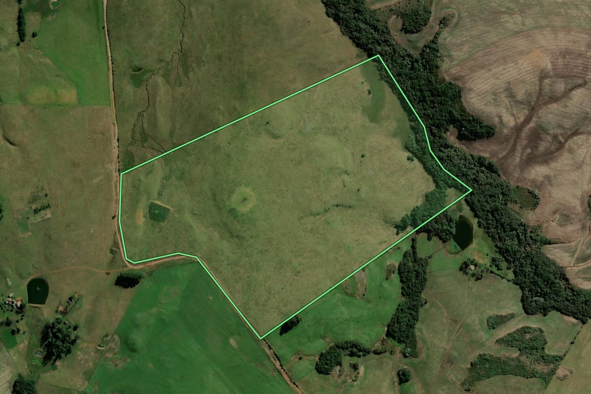 Imagem de satélite do imóvel rural em São Martinho da Serra (RS), com o contorno declarado no CAR desenhado por cima.