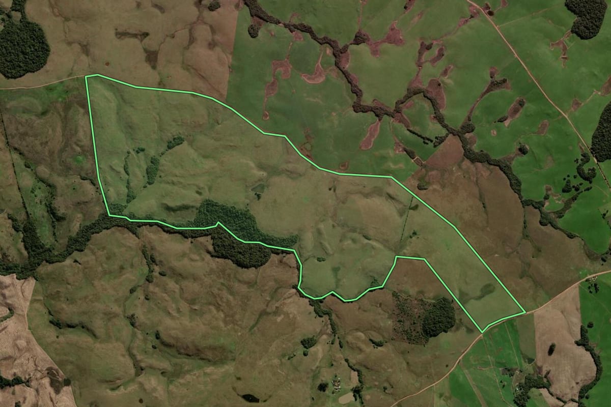 Imagem de satélite do imóvel rural em São Martinho da Serra (RS), com o contorno declarado no CAR desenhado por cima.