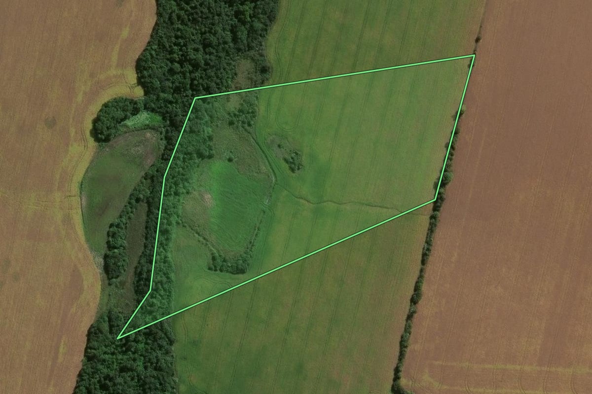 Imagem de satélite do imóvel rural em São Miguel das Missões (RS), com o contorno declarado no CAR desenhado por cima.