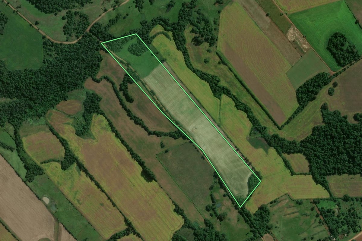 Imagem de satélite do imóvel rural em São Miguel das Missões (RS), com o contorno declarado no CAR desenhado por cima.