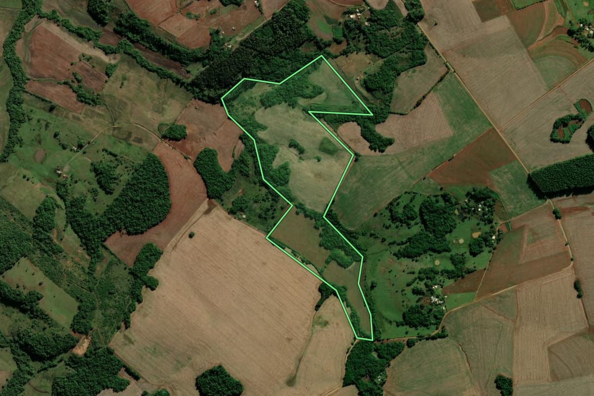 Imagem de satélite do imóvel rural em São Miguel das Missões (RS), com o contorno declarado no CAR desenhado por cima.