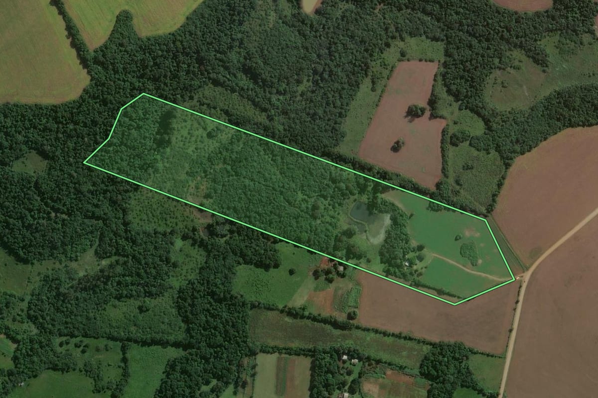 Imagem de satélite do imóvel rural em São Miguel das Missões (RS), com o contorno declarado no CAR desenhado por cima.