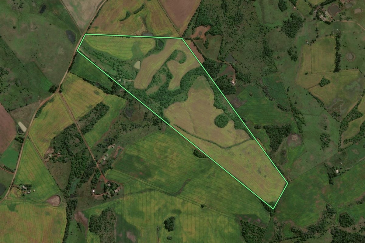 Imagem de satélite do imóvel rural em São Miguel das Missões (RS), com o contorno declarado no CAR desenhado por cima.