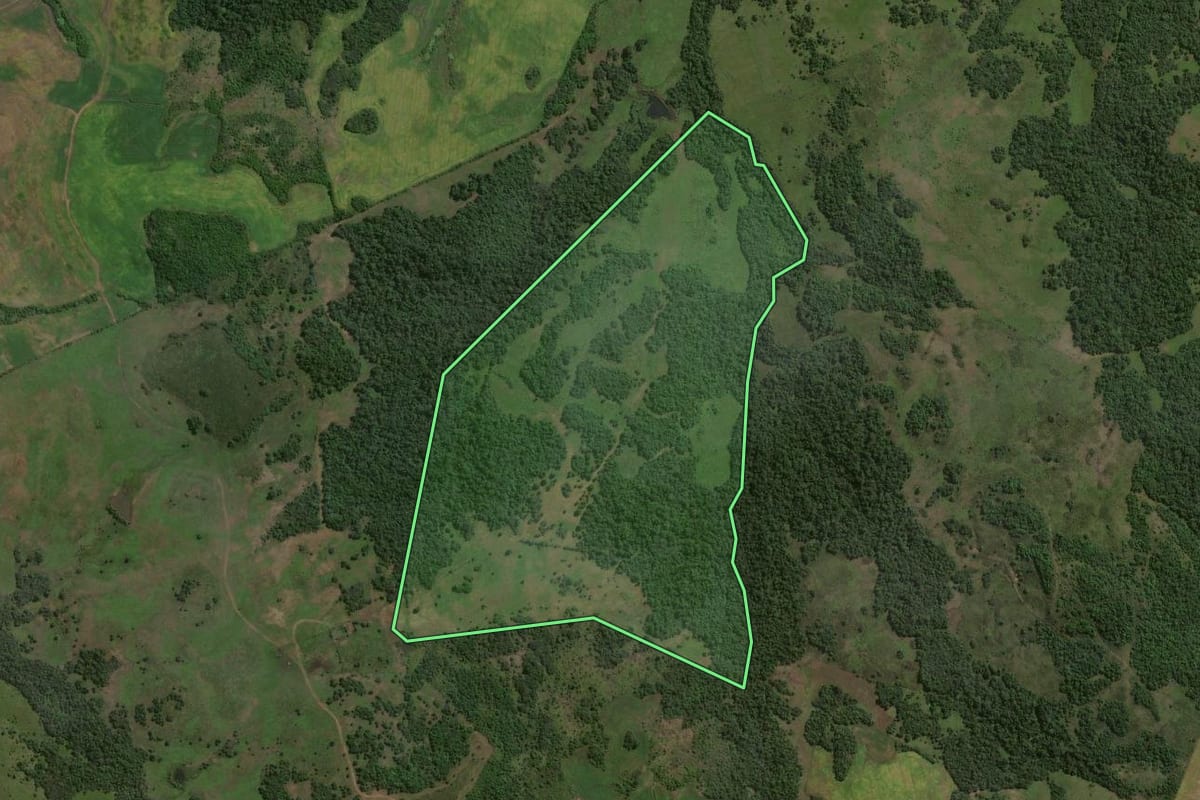 Imagem de satélite do imóvel rural em São Miguel das Missões (RS), com o contorno declarado no CAR desenhado por cima.