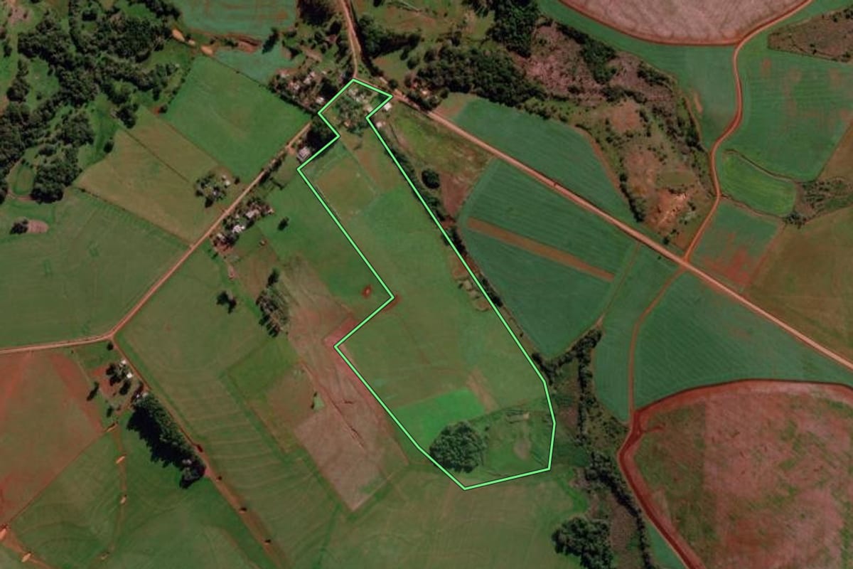 Imagem de satélite do imóvel rural em São Nicolau (RS), com o contorno declarado no CAR desenhado por cima.