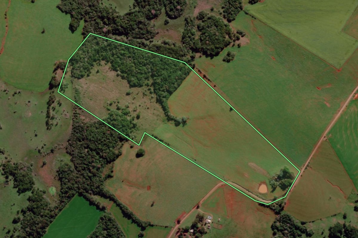 Imagem de satélite do imóvel rural em São Nicolau (RS), com o contorno declarado no CAR desenhado por cima.