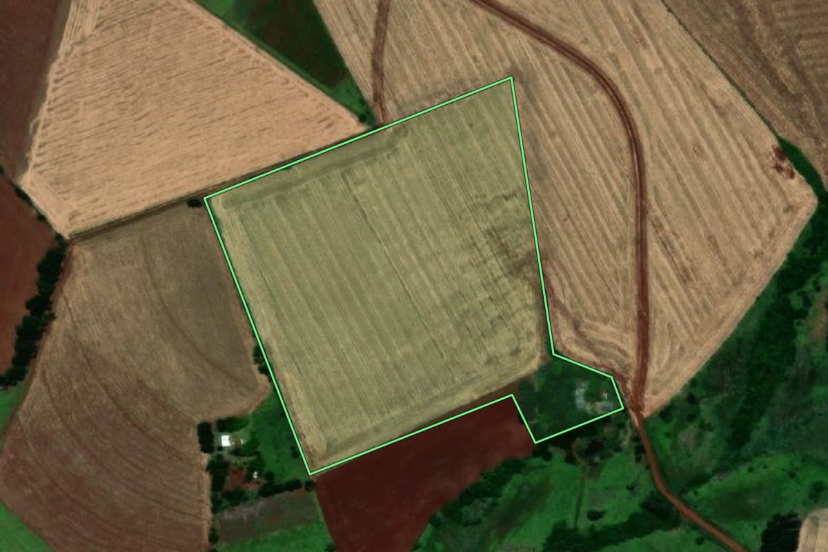 Imagem de satélite do imóvel rural em São Nicolau (RS), com o contorno declarado no CAR desenhado por cima.