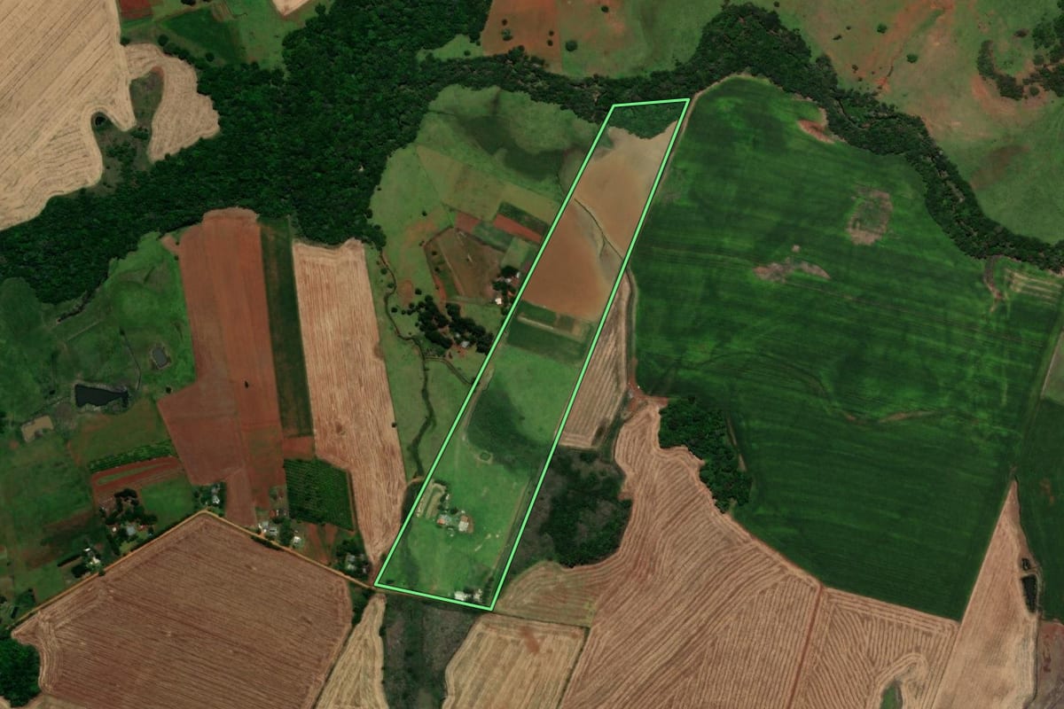 Imagem de satélite do imóvel rural em São Nicolau (RS), com o contorno declarado no CAR desenhado por cima.