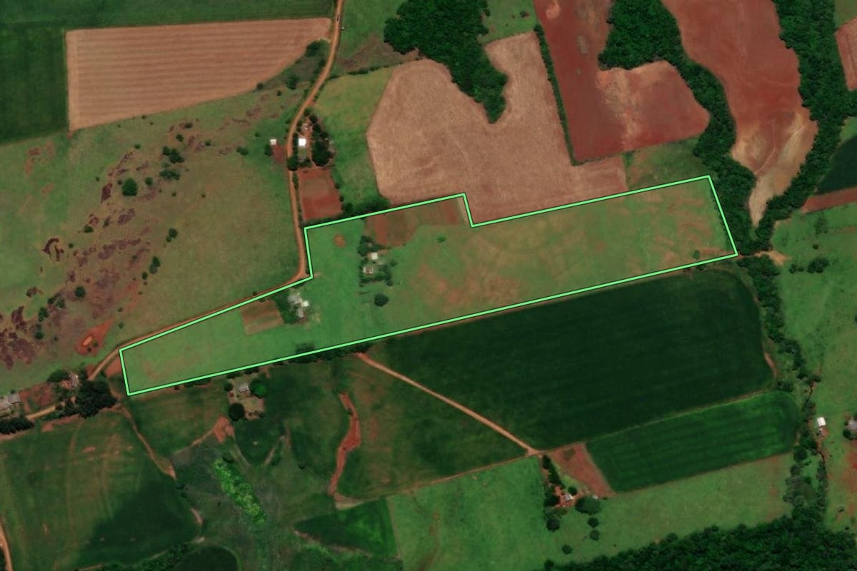 Imagem de satélite do imóvel rural em São Nicolau (RS), com o contorno declarado no CAR desenhado por cima.