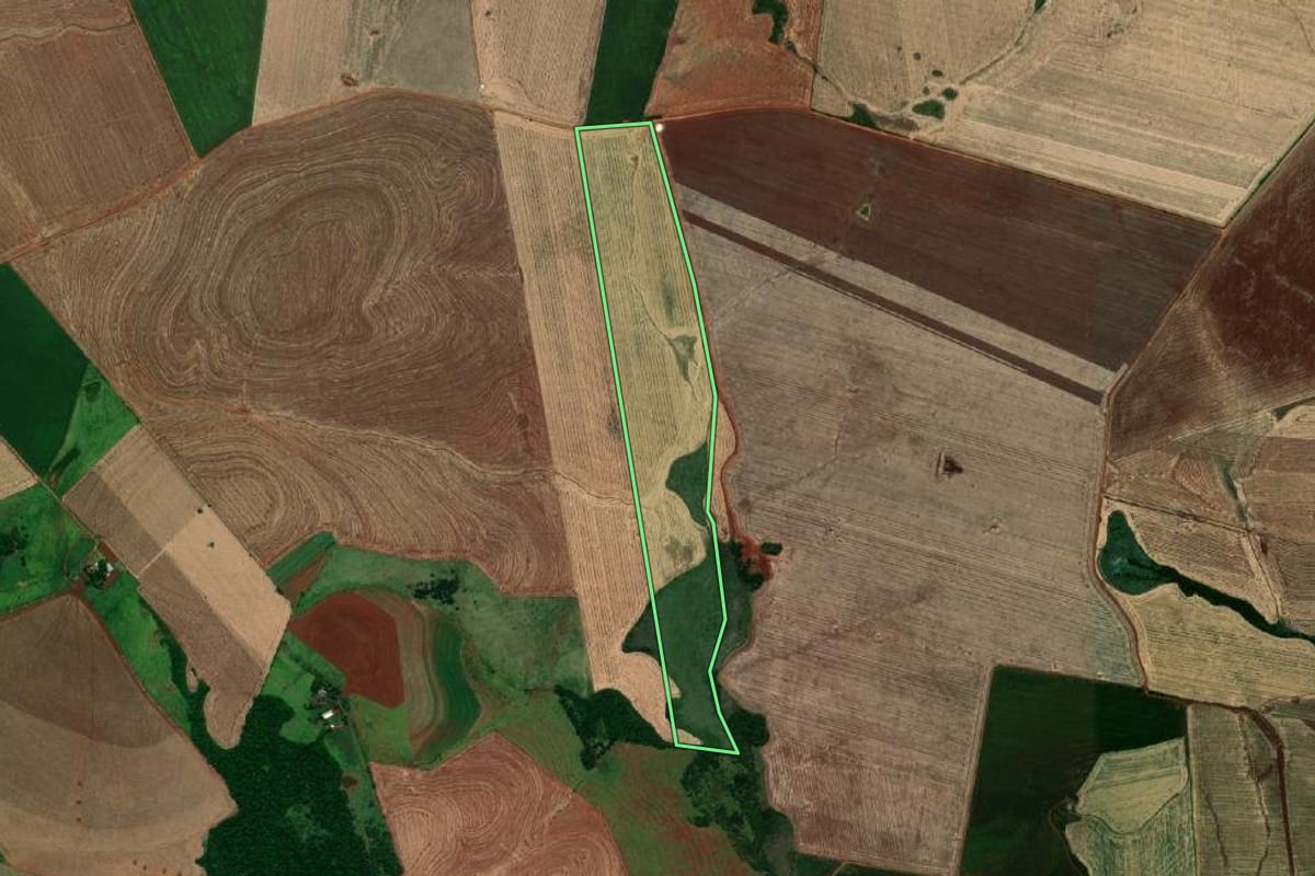 Imagem de satélite do imóvel rural em São Nicolau (RS), com o contorno declarado no CAR desenhado por cima.
