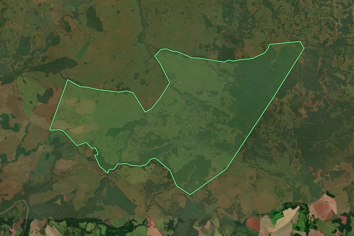 Imagem de satélite do imóvel rural em São Nicolau (RS), com o contorno declarado no CAR desenhado por cima.
