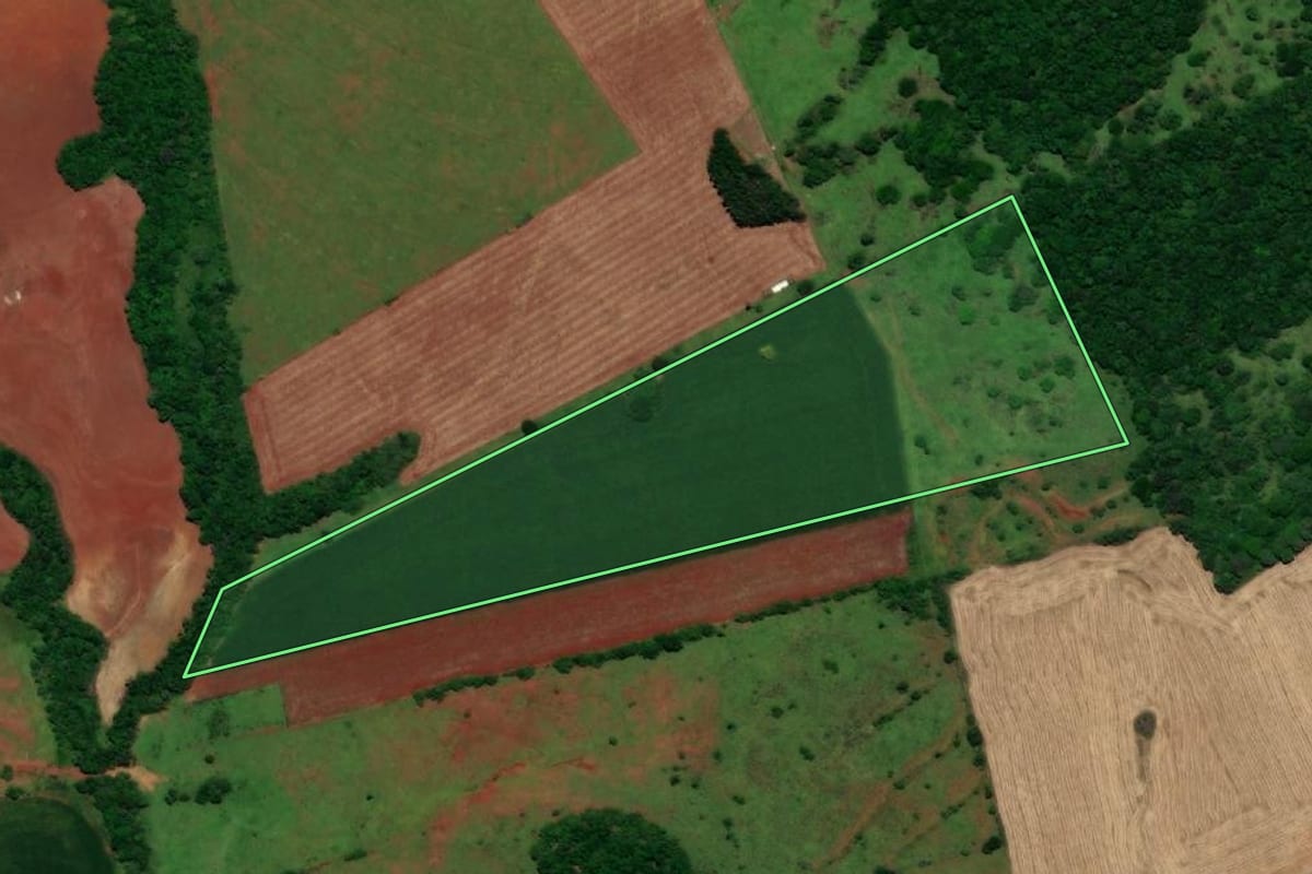 Imagem de satélite do imóvel rural em São Nicolau (RS), com o contorno declarado no CAR desenhado por cima.