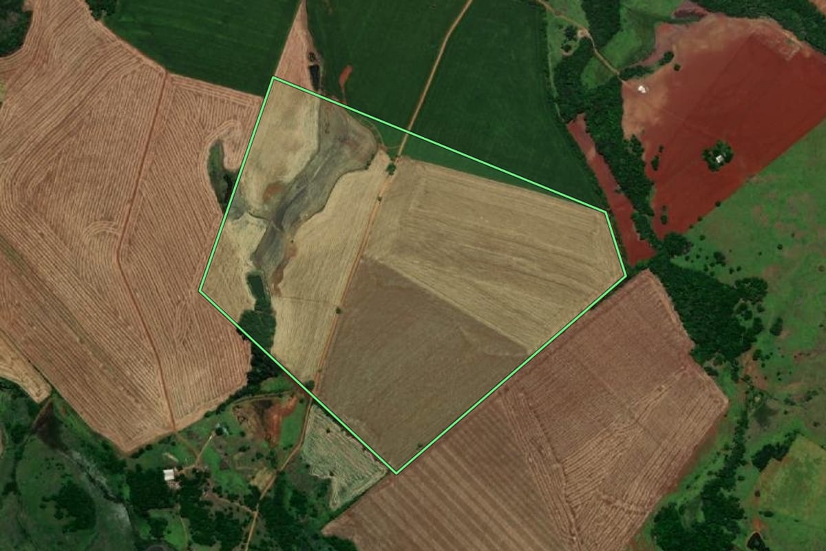 Imagem de satélite do imóvel rural em São Nicolau (RS), com o contorno declarado no CAR desenhado por cima.