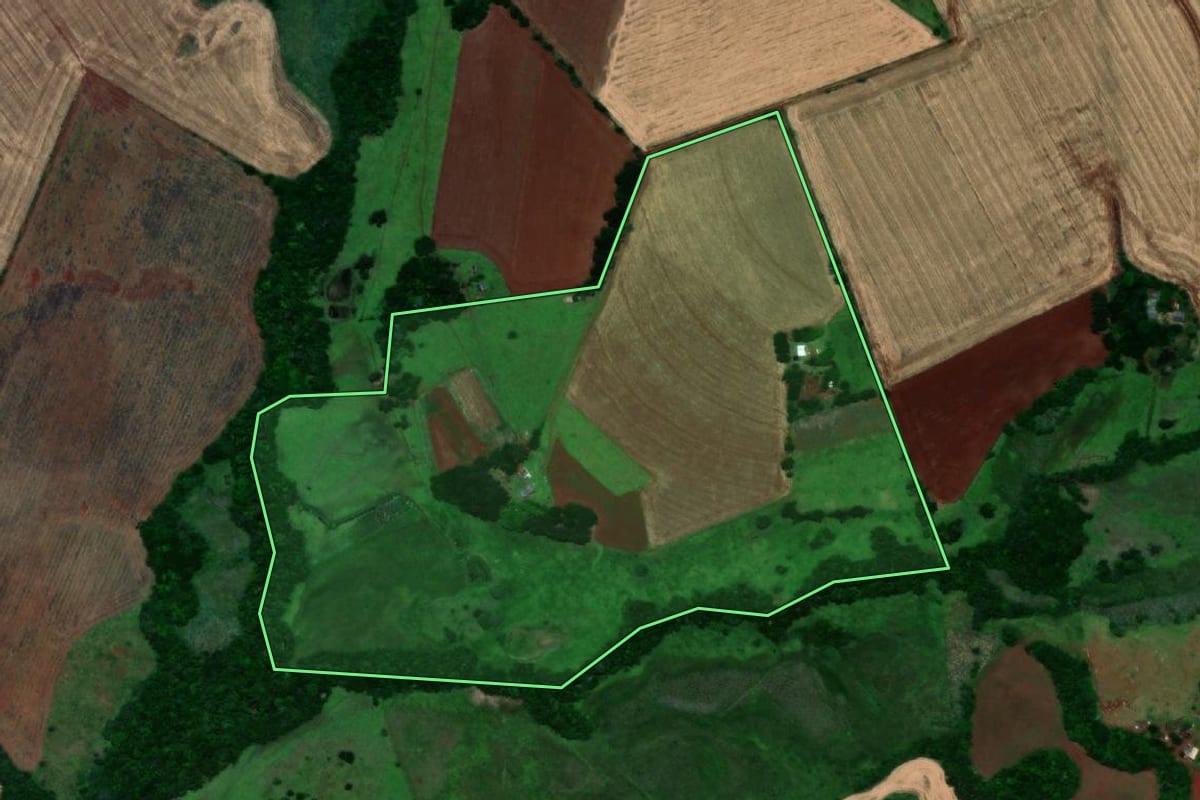 Imagem de satélite do imóvel rural em São Nicolau (RS), com o contorno declarado no CAR desenhado por cima.