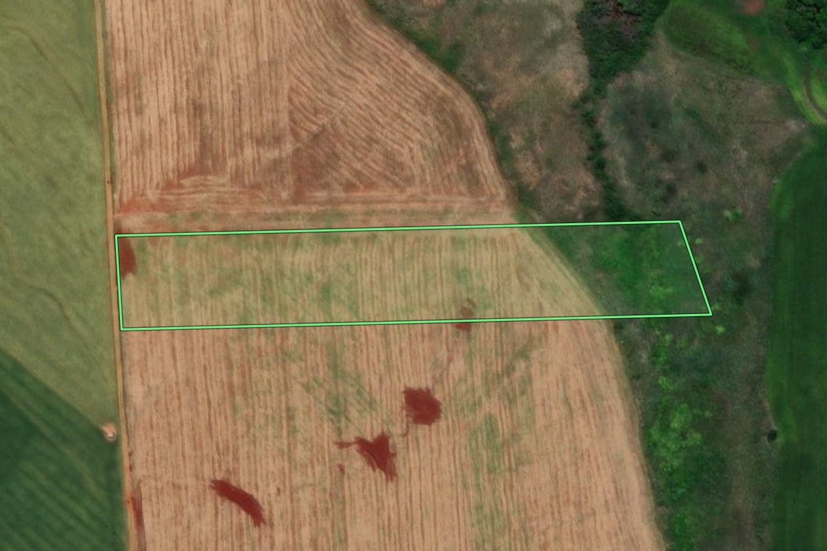 Imagem de satélite do imóvel rural em São Nicolau (RS), com o contorno declarado no CAR desenhado por cima.