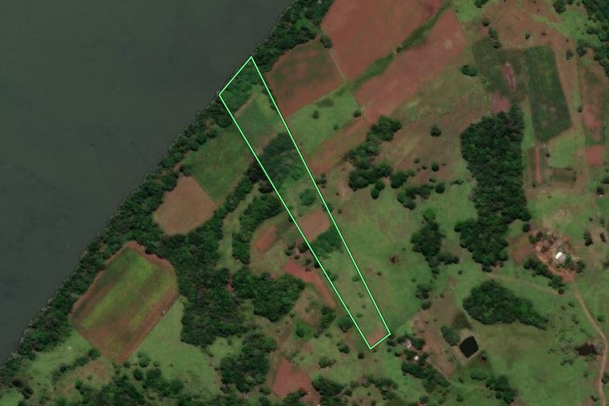 Imagem de satélite do imóvel rural em São Nicolau (RS), com o contorno declarado no CAR desenhado por cima.