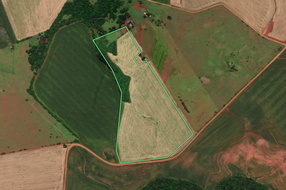 Imagem de satélite do imóvel rural em São Nicolau (RS), com o contorno declarado no CAR desenhado por cima.