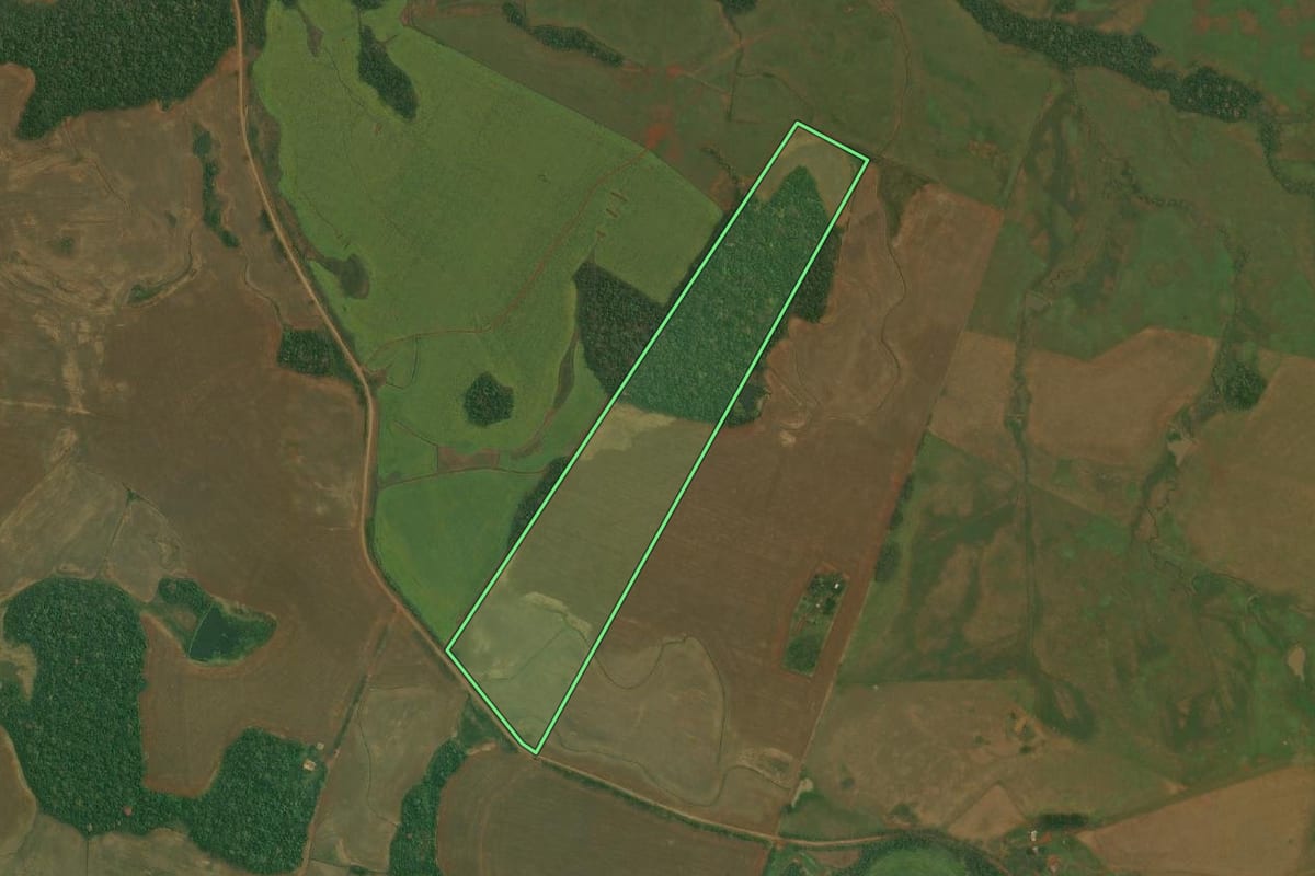 Imagem de satélite do imóvel rural em São Nicolau (RS), com o contorno declarado no CAR desenhado por cima.