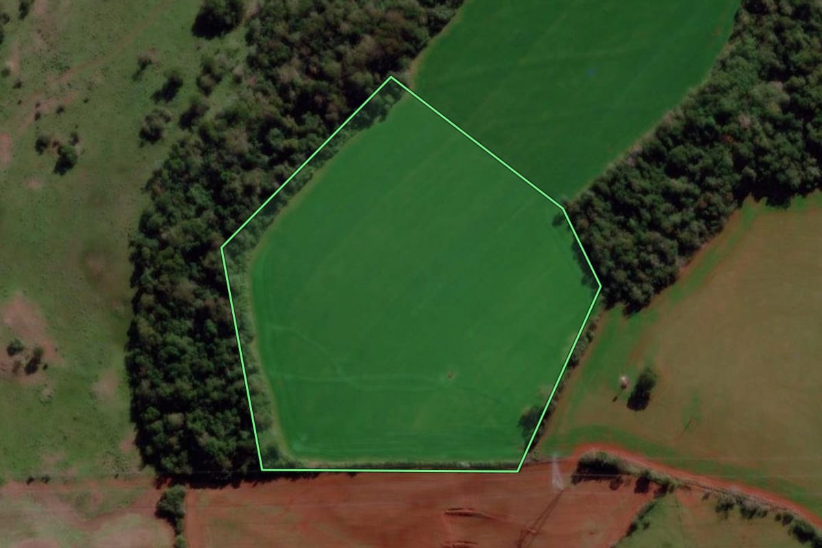 Imagem de satélite do imóvel rural em São Nicolau (RS), com o contorno declarado no CAR desenhado por cima.