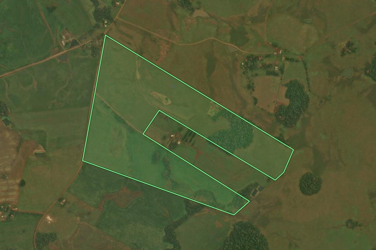 Imagem de satélite do imóvel rural em São Nicolau (RS), com o contorno declarado no CAR desenhado por cima.