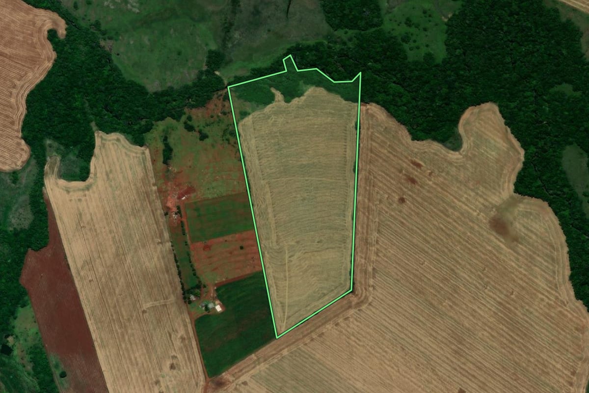 Imagem de satélite do imóvel rural em São Nicolau (RS), com o contorno declarado no CAR desenhado por cima.