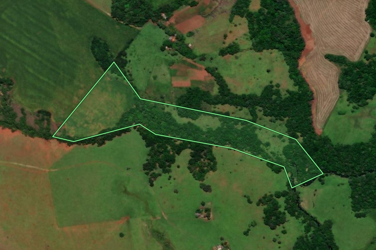 Imagem de satélite do imóvel rural em São Nicolau (RS), com o contorno declarado no CAR desenhado por cima.
