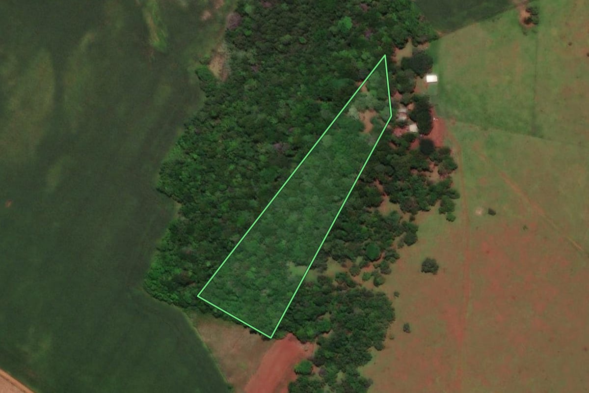 Imagem de satélite do imóvel rural em São Nicolau (RS), com o contorno declarado no CAR desenhado por cima.